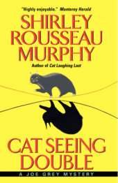 Cat Seeing Double cover